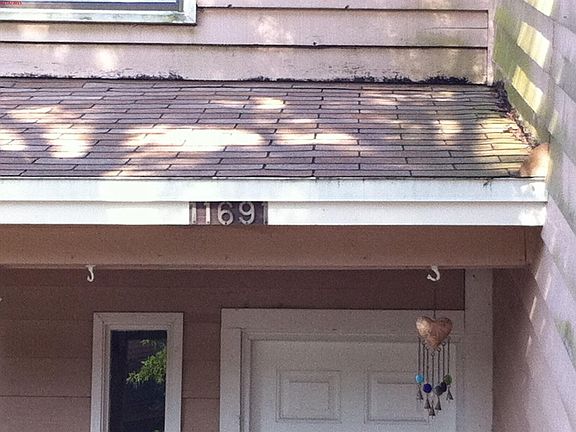 2nd image of 11691 Tanager Dr