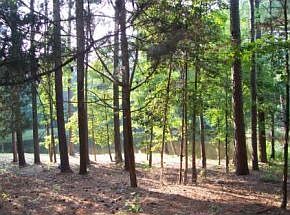 FRONTAGE TO LOUISVILLE RD.