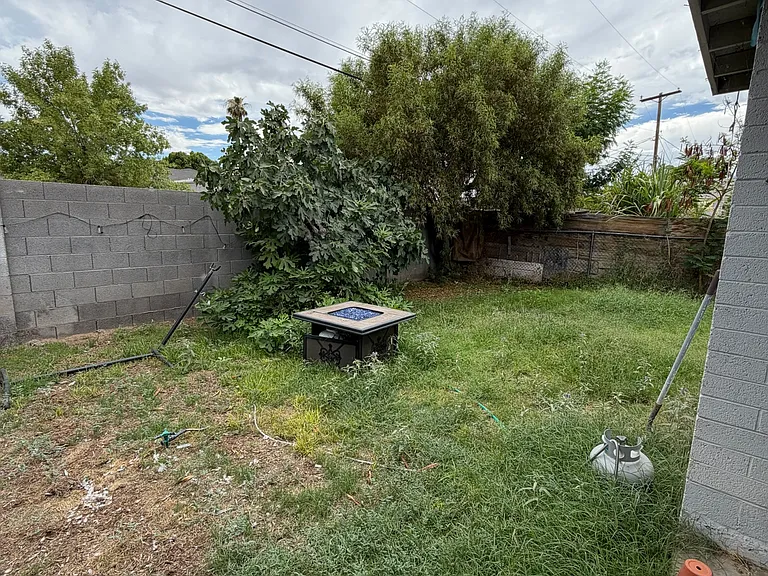 Backyard (Old Photo, will update with cleaned up photo soon)
