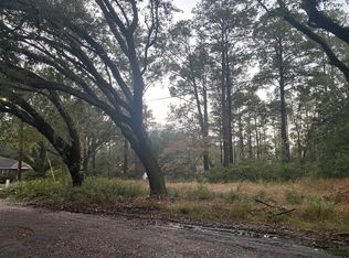 0 Elizabeth St, Walterboro, SC 29488