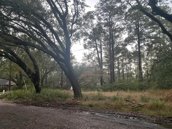 0 Elizabeth St, Walterboro, SC 29488