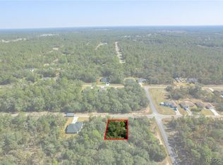 6320 N Matheson Dr, Citrus Springs, FL 34434