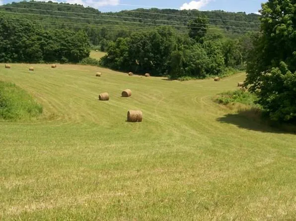 0 Webbs Camp Rd, Walling, TN 38587