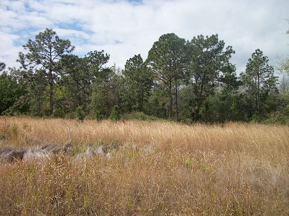 4th image of 7043 Quail Hollow Blvd