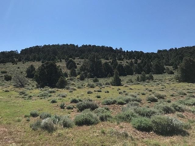 2nd image of 910 Globe Rd