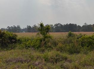 0 Moore Rd TRACT 10, Naylor, GA 31641