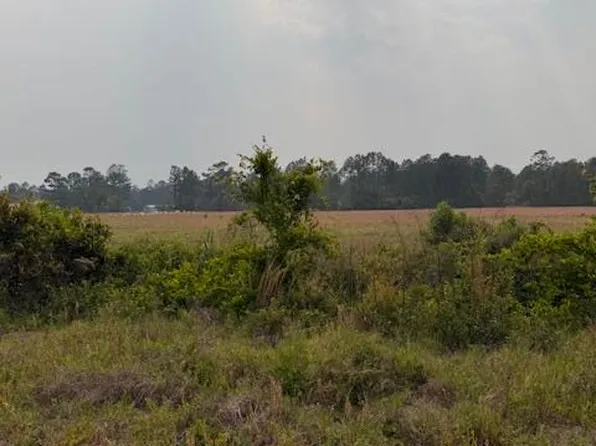 0 Moore Rd Tract 14, Naylor, GA 31641