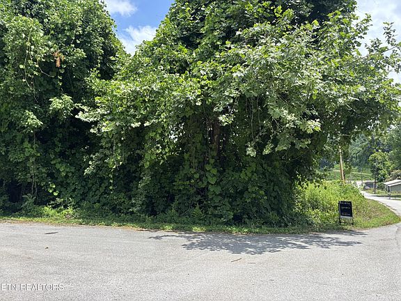 5th image of 0 Davis Hollow Rd