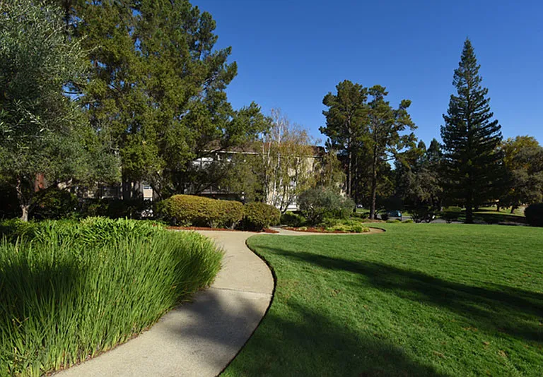Seven Oaks — Photo 12