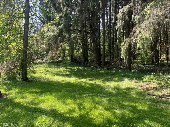 High Mill Ave NW, Clinton, OH 44216