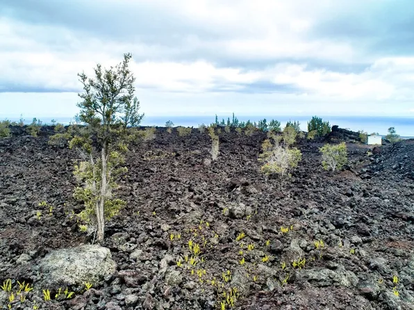 92-1124 Kona Gardens Rd Lot 50, Captain Cook, HI 96704