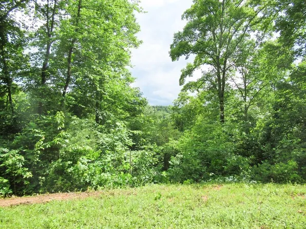 9 Berry Cove Rd, Franklin, NC 28734