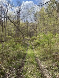 TBD Mill Valley, Middleburgh, NY, 12122