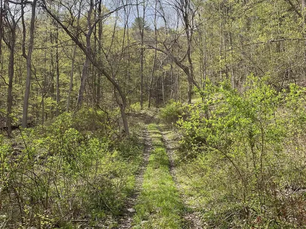 TBD Mill Valley, Middleburgh, NY 12122