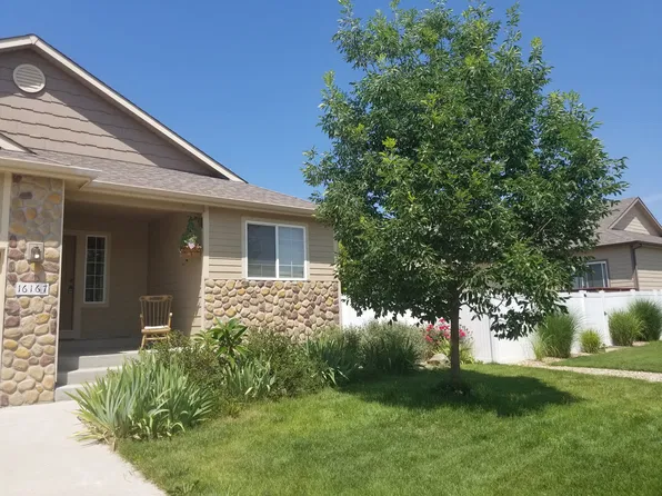 16167 Cinnamon Cir, Mead, CO 80542