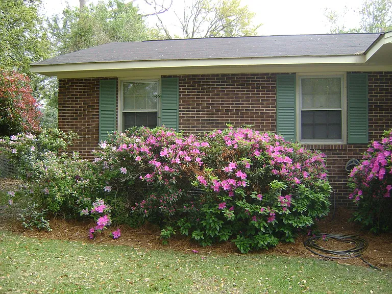 3203 Abbott Morris Ln — Photo 34