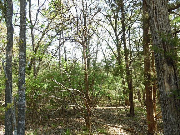 5th image of Tbd17 Dogwood Dr
