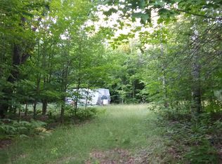 11657 Mount Frederick Rd, Gaylord, MI 49735