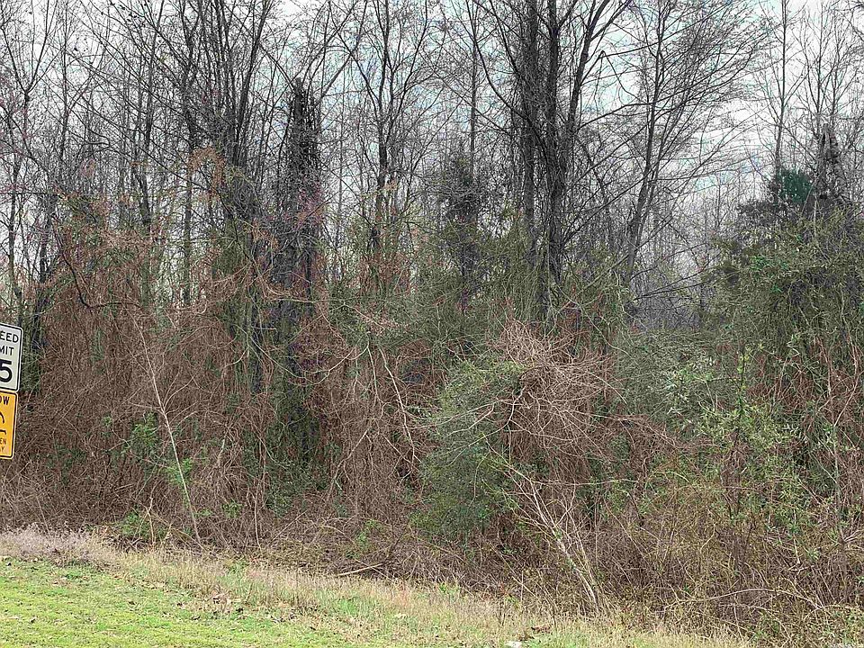 2nd image of LOT 32 Caney Meadows Dr