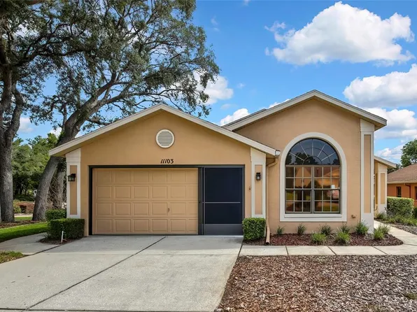 11103 Cherrywood Ct, Spring Hill, FL 34609