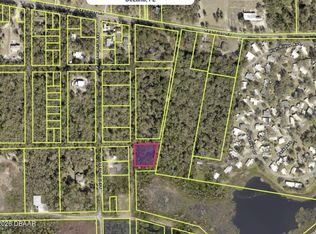 LOT 10 Reynolds Rd, De Leon Springs, FL 32130