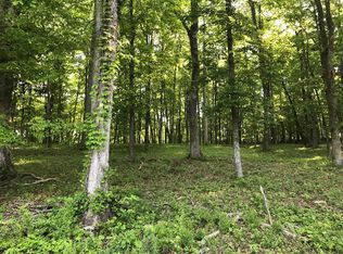 E Shore Dr, Rockwood, TN 37854