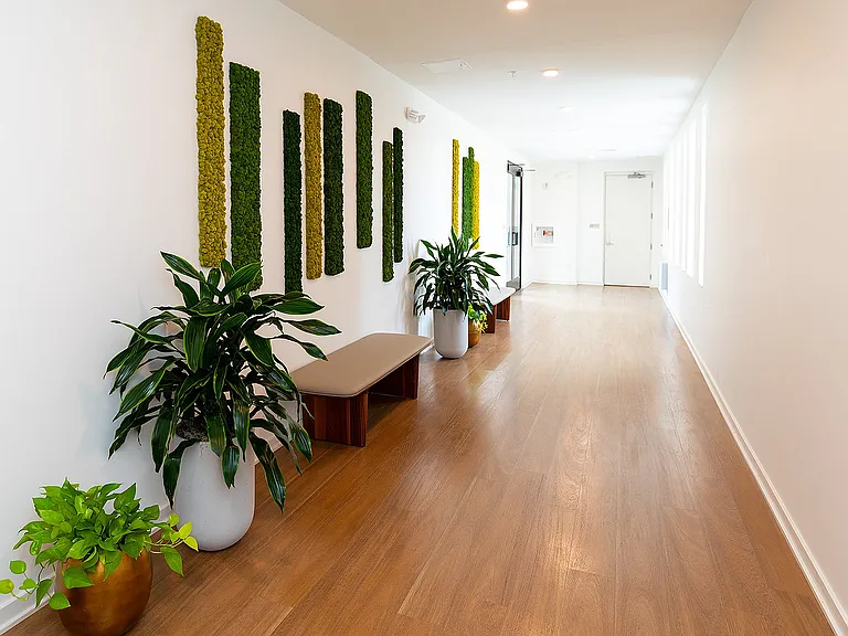 Moss Wall