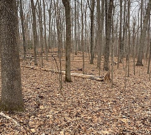 2nd image of Lee Hwy