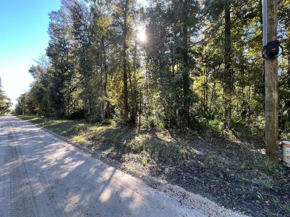 Lot 11 NE 327th Ave, Old Town, FL 32680