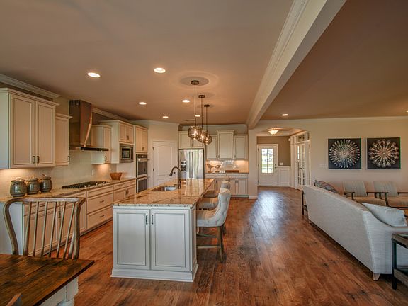 Model Representation