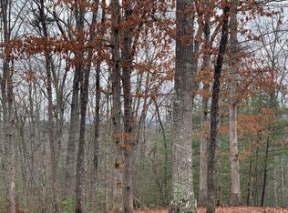 46 Rabbit Rdg, Murphy, NC 28906