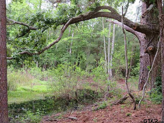 3rd image of 21200 County Road 3309