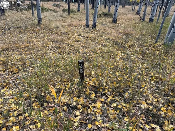 25 County Road 403, Guffey, CO 80820