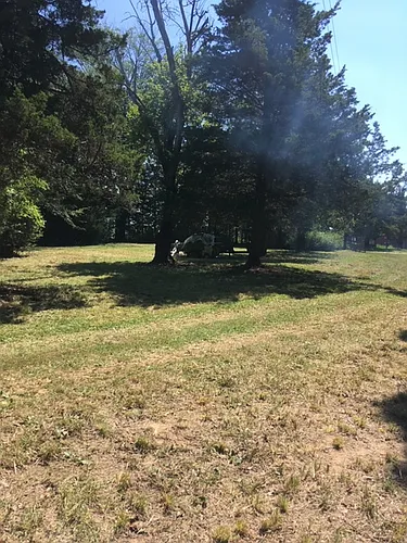 940 County Road 534 Photo 1