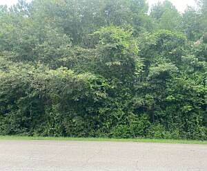 2nd image of Leeville Rd