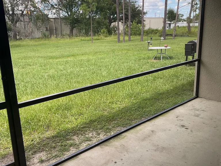 Patio and backyard
