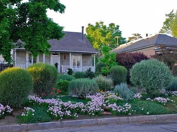 Summer Yard