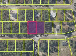 9037-1222 Five LOT 5, Ocklawaha, FL 32179
