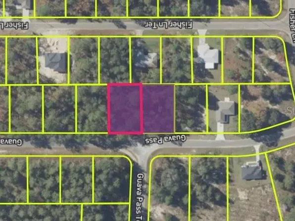 9037-1222 Five Lot 5, Ocklawaha, FL 32179