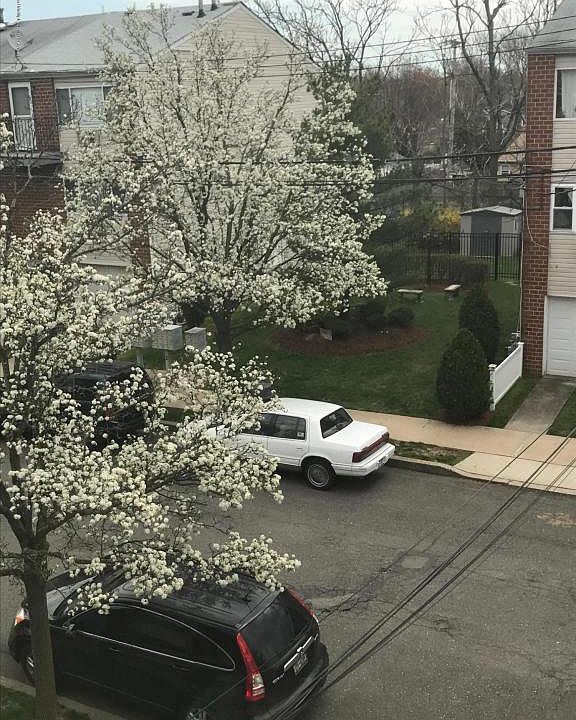 1st image of 33B Francine Ct #97B