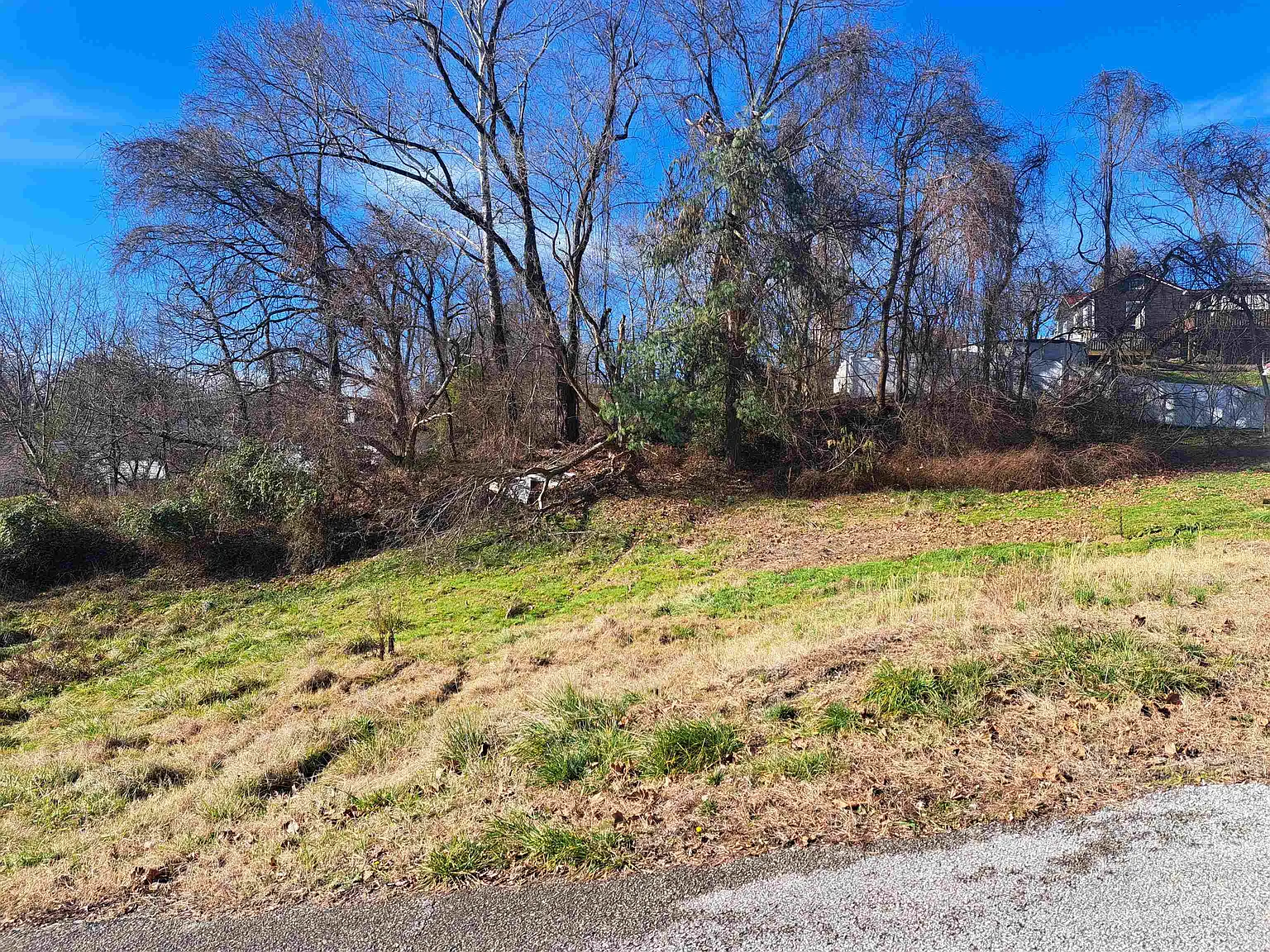 1721 Miller St photo 1