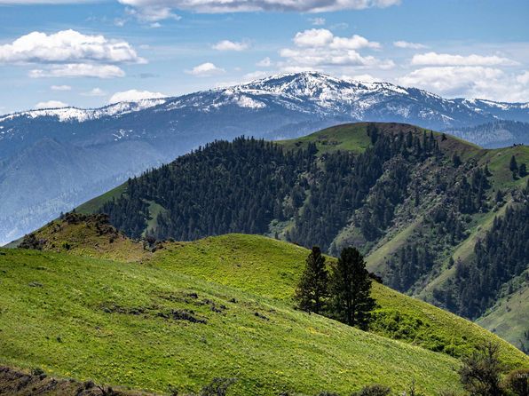 673 N Race Creek Rd, Riggins, ID 83549