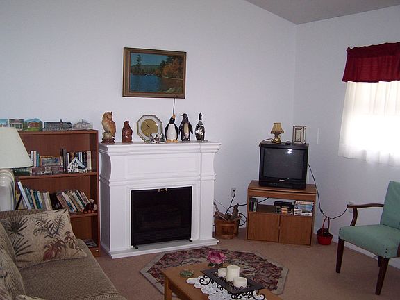 Electric Fireplace in Living Room