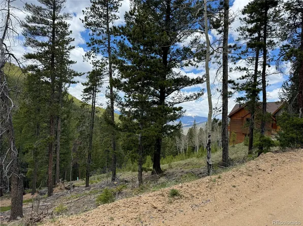 Blue Bell Lane, Idaho Springs, CO 80452