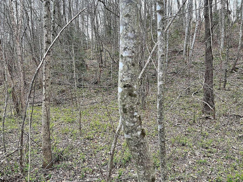 1st image of Small Creek Dr