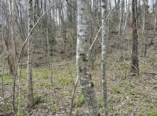 Small Creek Dr, Lake Lure, NC 28746