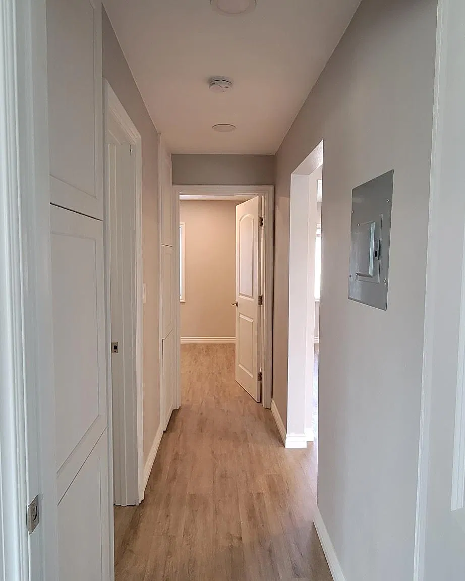 115 Juniper St — Photo 4