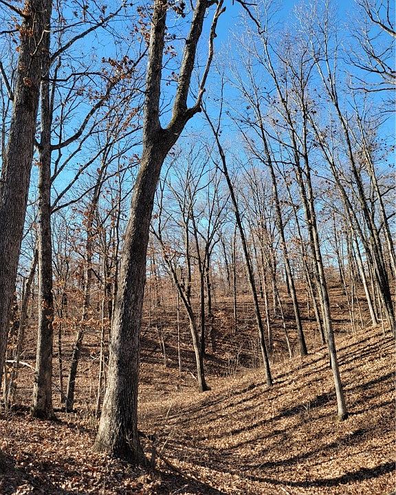 1st image of LOT 8 Dover Dr