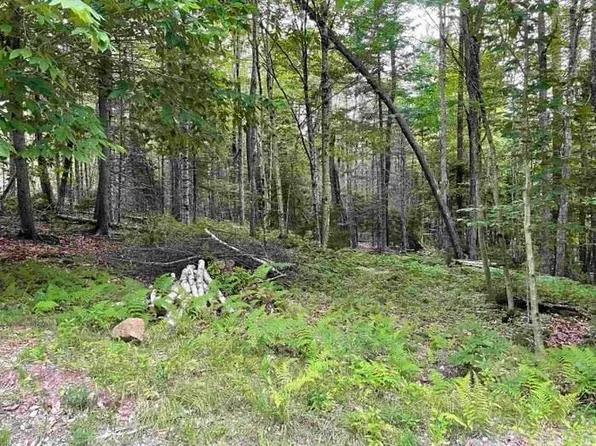 Map 14 Lot 312 Cleveland Circle, Washington, NH 03244