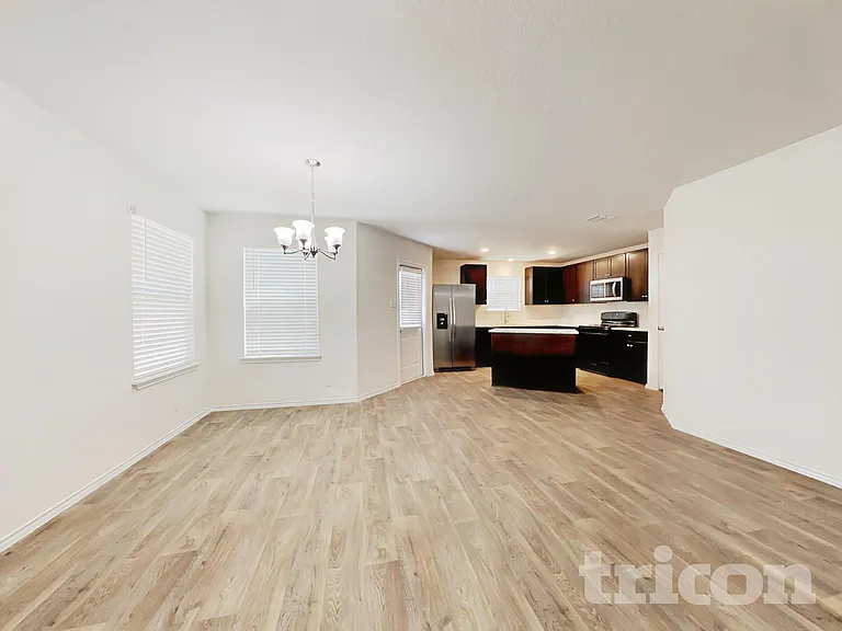 15406 Shortwing — Photo 17